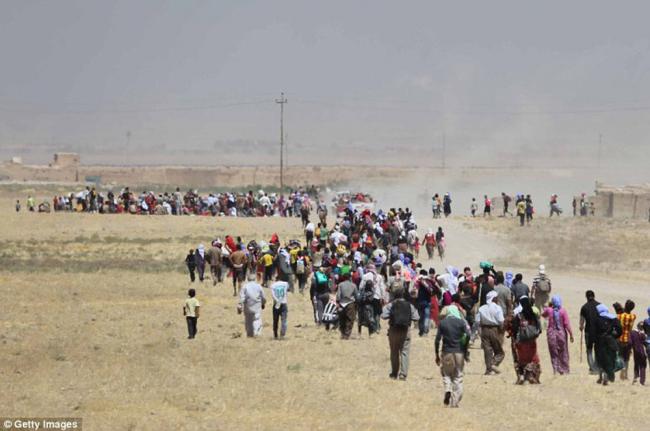战地医生:ISIS活埋妇孺 电线杆上满是人头