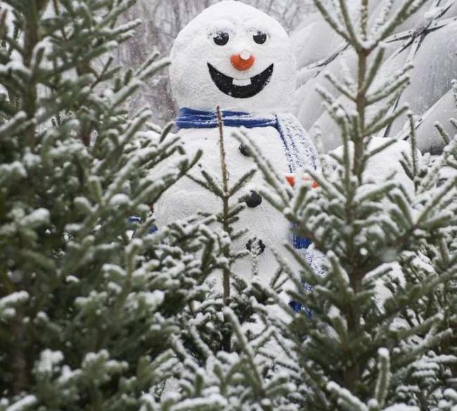 vancouverbc-december-5-2016-a-snowman-smiles-after-seei.jpeg