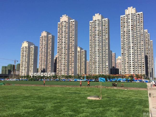 天津港爆炸事故核心区周边铺设草皮