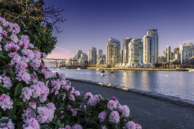 再过半个月 温哥华将成世界最美的城市！