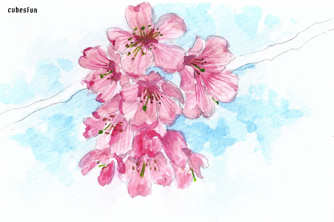 FUN聚会：我们去画樱花吧！水彩樱花原来这么美！