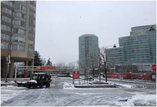 2016年温哥华的第一场大雪， 亲历“上班未遂”