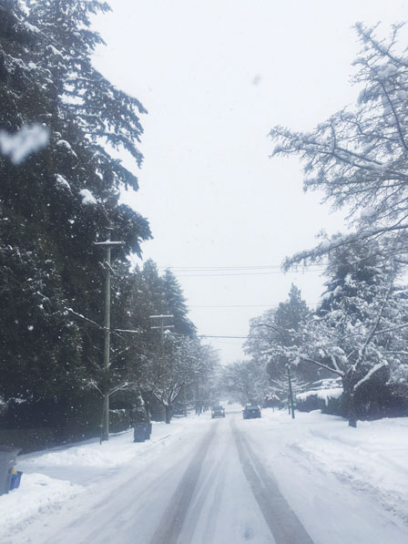 没装雪胎的司机 将要被禁止在雪中行驶