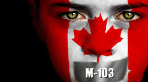 “婊子滚出加拿大！”  M-103的议员遭死亡威胁