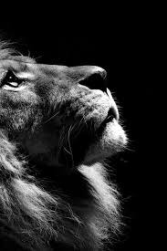 每个女人体内都住着一只狮子，看你如何唤醒它