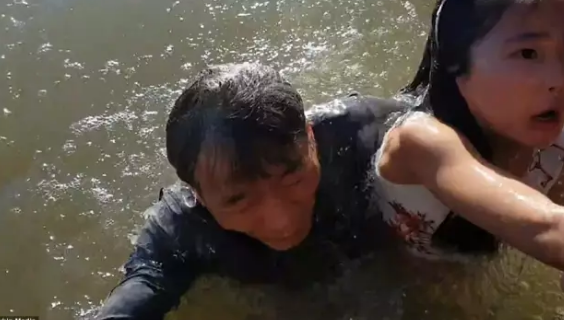海狮把小女孩拉下水 引来关于中国人素质的口水战