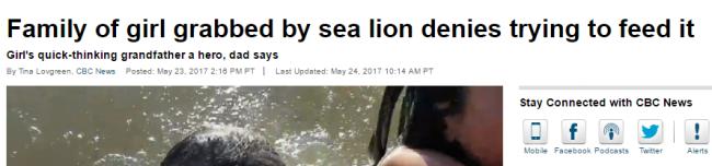 被拉下水女童父母辟谣被骂 海狮成人人拍照的网红