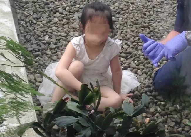 加国5岁华裔女孩独自在家，7楼坠下竟然自己爬起