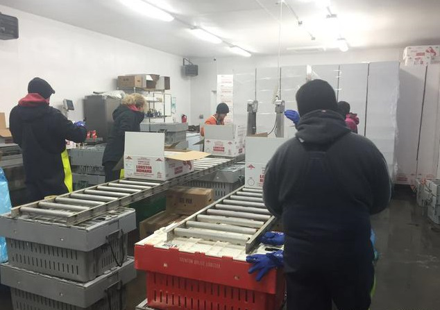 中国人对加拿大龙虾爱到疯狂 京东一天爆销14万只
