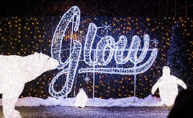 大温一周好去处：11月18日-11月25日 世界最大的圣诞彩灯展来到温哥华