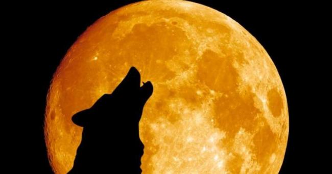 就在今晚！2018的新年夜空中将出现“狼月”