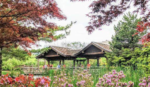 赏樱不只High Park 这里还有个绝美的日式公园！
