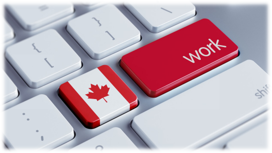 找工作 正规网站也要小心！加拿大女子求职险被骗