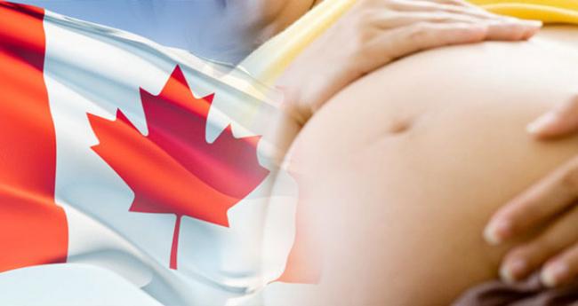 都是女人 中国人和加拿大人生孩子差别竟如此大？