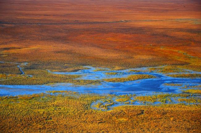 新疆最美湿地之一 这片草原上有一个天鹅保护区