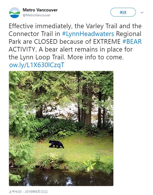 北温公园有黑熊出没 两条步道紧急封路