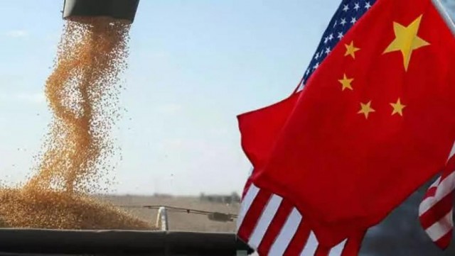 中美贸易大豆告急要不要美国大豆引关注