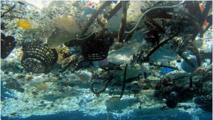 G7 加拿大开会推 “塑料宪章”治理海洋