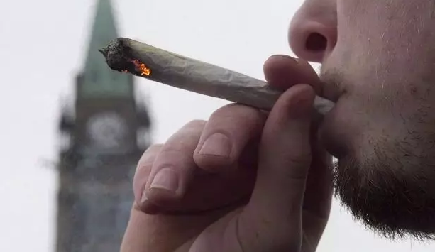 留学生死在回国戒毒路上！加拿大大麻却下周合法