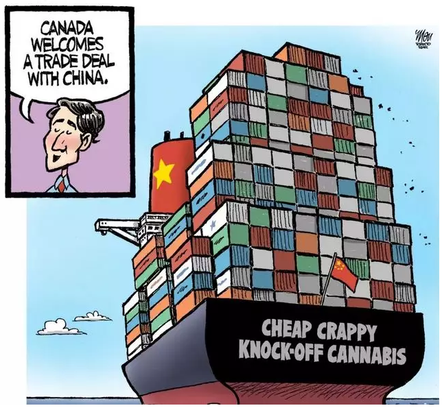 加拿大报纸讽刺：中国运来大批假大麻