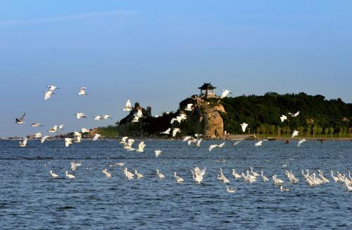 中国10大最美的滨海城市：三亚榜首 你同意吗？
