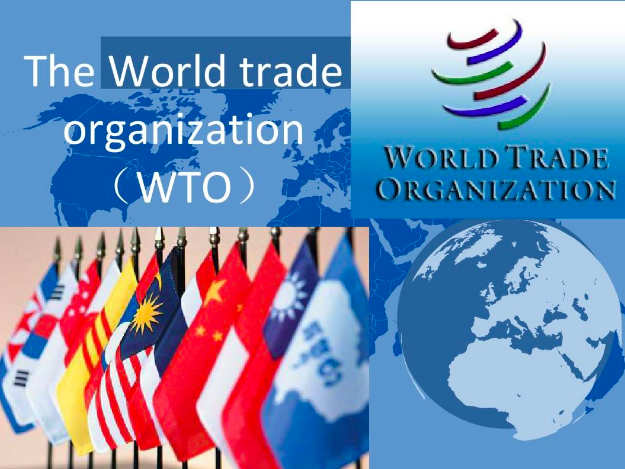 ô12óԱ̫ WTO