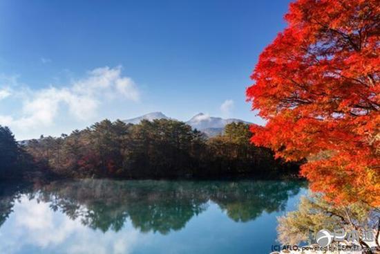 太治愈了！这个秋天一定要看的日本6大美景