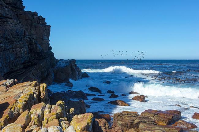 非洲最南的好望角 世界最危险海域却壮丽到极致
