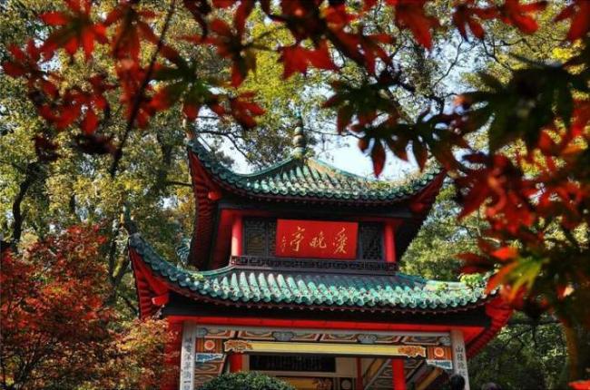 中国10大赏枫叶之地 枫林如火漫山红遍
