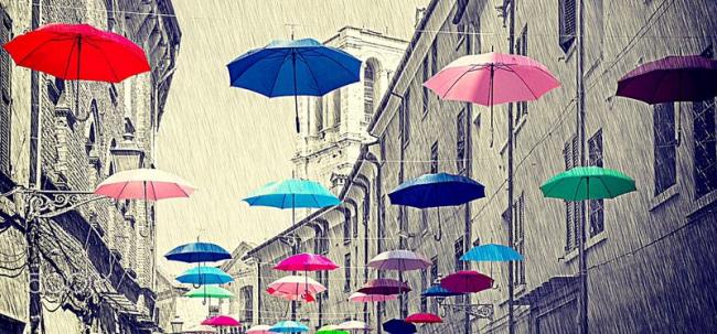 在温哥华的雨季，谁动了你的雨伞？