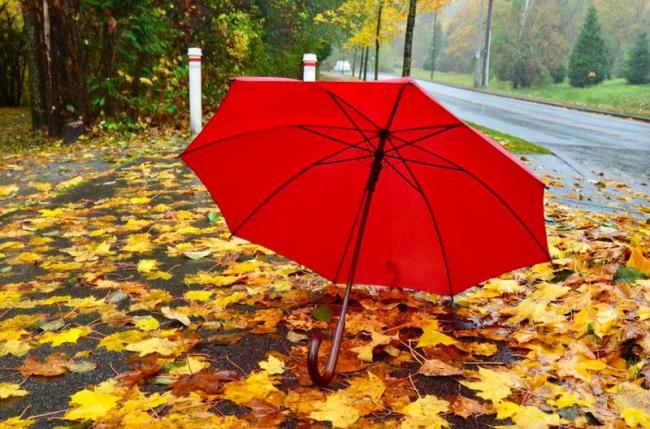 在温哥华的雨季，谁动了你的雨伞？