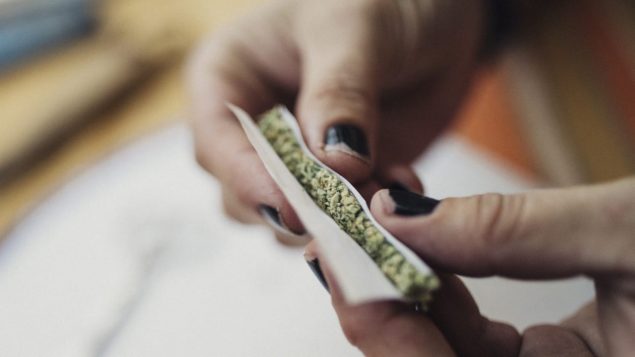 魁省计划把购大麻合法年龄提高到21岁