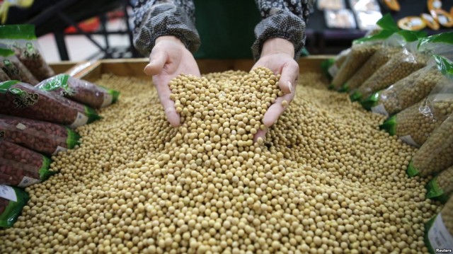 美国确认中国恢复大豆进口 但令人失望