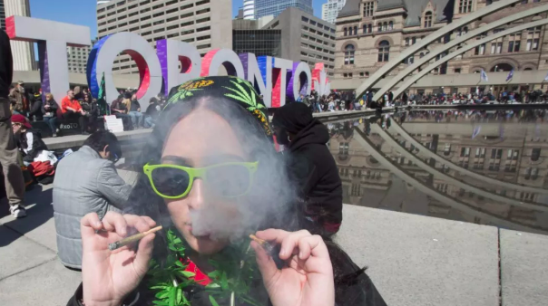 加拿大正式宣布大麻食品开售  法规草案相继出炉