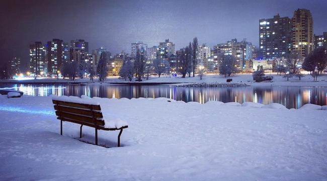 温哥华的风花雪月，温柔了异乡的岁月