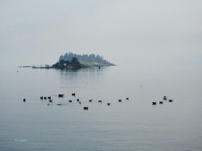 游走在温哥华雾霭迷幻中之独白思语
