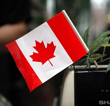 加拿大配偶团聚移民申请近年来的变化