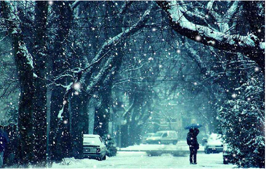 温哥华一日的璀璨--雪，雨，晴的交织