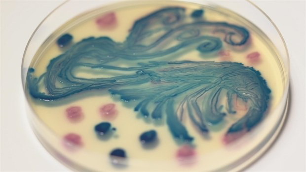 超市卖的冰冻虾竟然有超级细菌 你还敢吃吗？