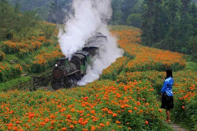中国有一辆全球仅有的小火车 比大熊猫还珍贵