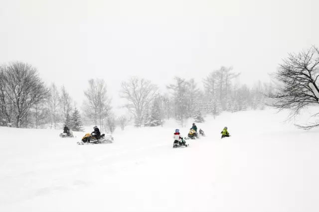 10个冬天一定要去北海道滑雪的理由