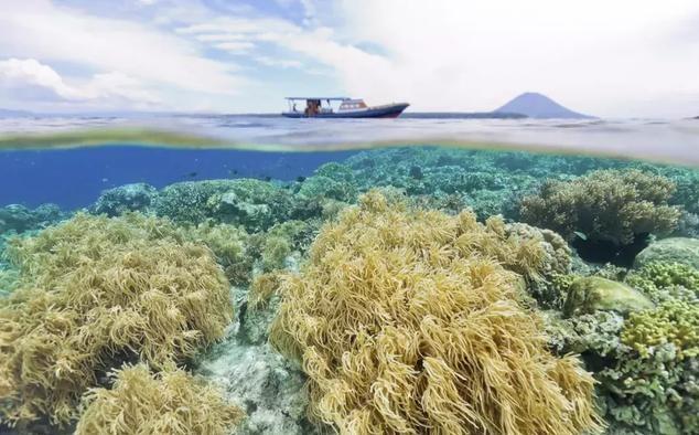 被称为20年前的巴厘岛 这座原始小岛超美