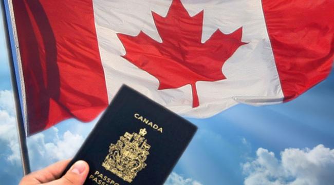 移民第四年里最“加拿大”的几件事