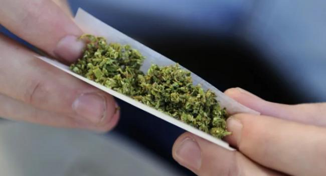 加拿大统计局：合法化把大麻价格推高了 17%