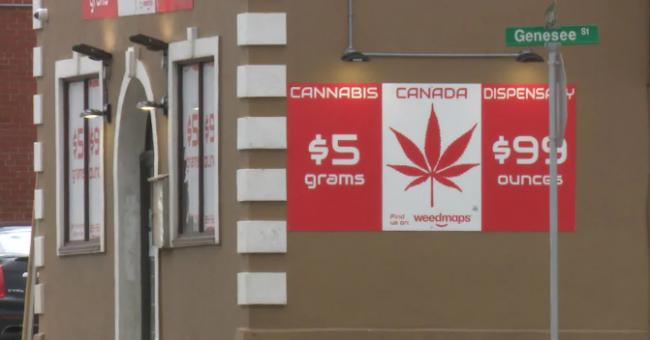 加拿大统计局：合法化把大麻价格推高了 17%