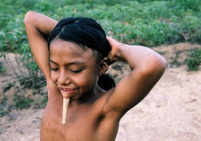 亚马逊的神秘部落 以下巴插木棍为美