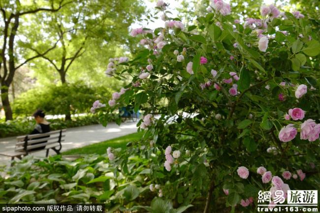 北京有座日式公园 门票只要两毛钱
