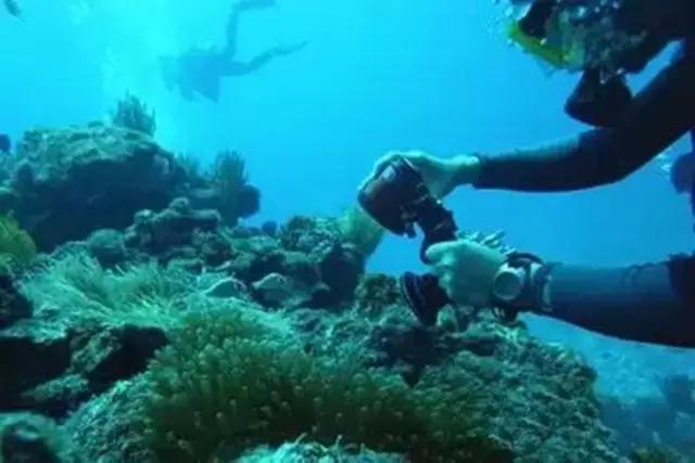 暑假旅游 日本冲绳潜水必去的绝佳潜点约起
