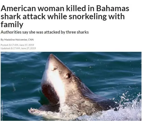 残忍！热门旅游景点 美女被鲨鱼群攻击致死