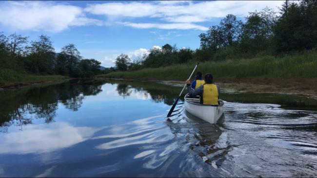 在皮特湖荡起双桨：穿梭于世外桃源般的美景中